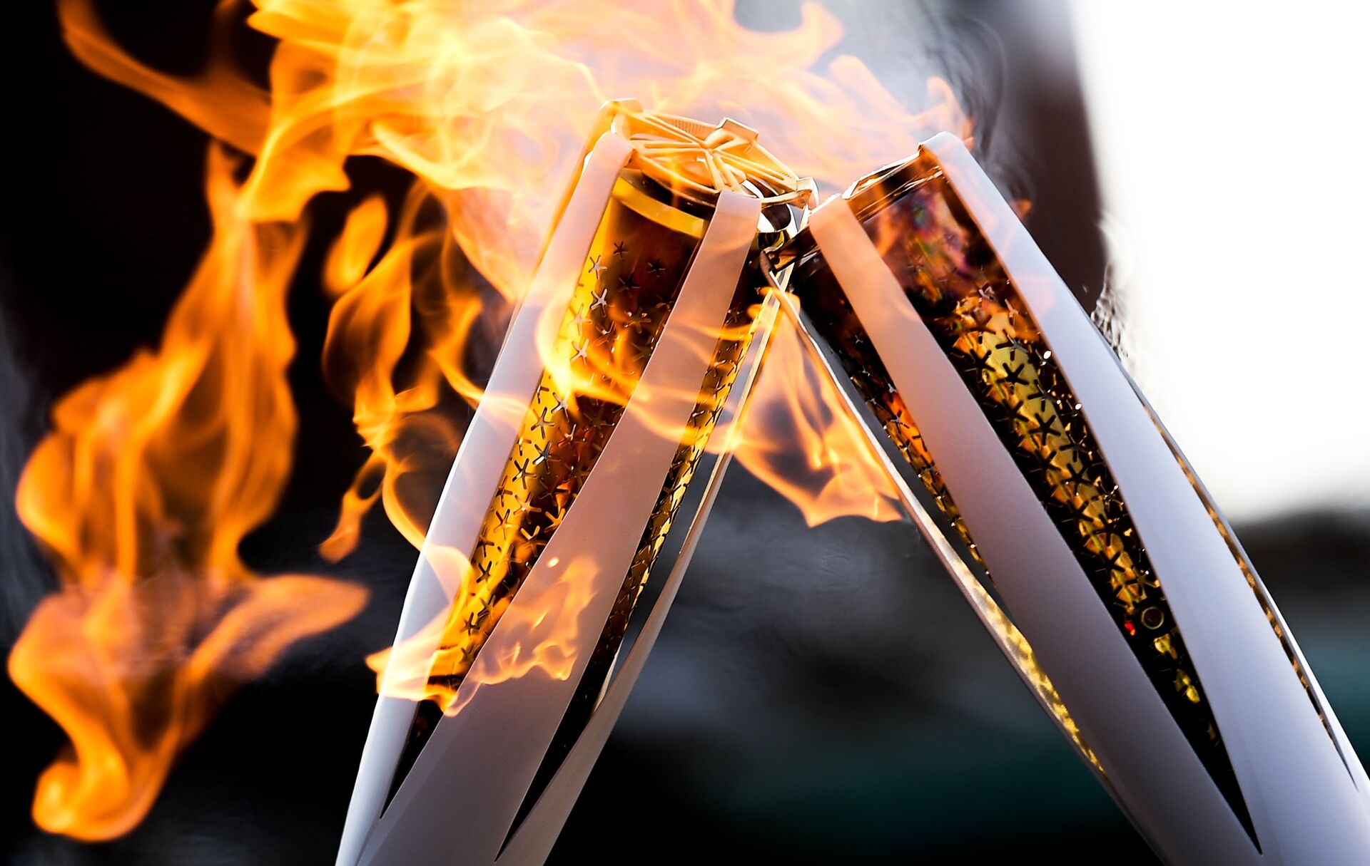 Факелы с Олимпийским огнём во время эстафеты в Пхенчхане - РИА Новости, 1920, 24.05.2021