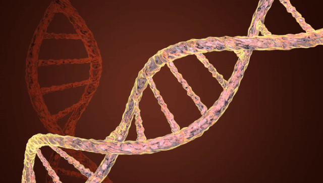Геномный редактор разрезает ДНК