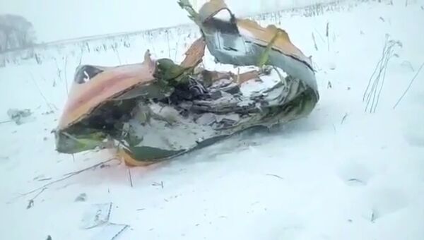 Видео с места падения пассажирского самолета Ан-148 в Подмосковье
