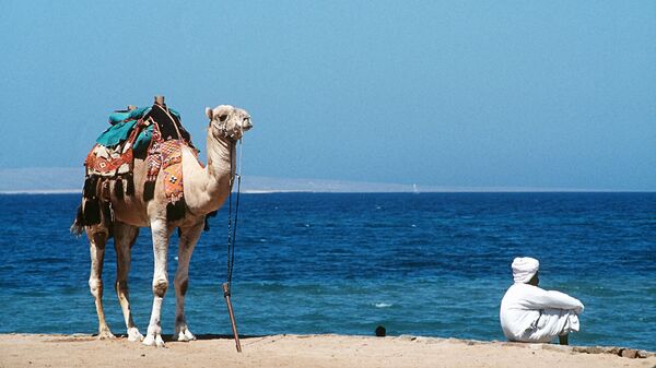 Верблюд и погонщик на берегу Красного моря в Египте. Архивное фото.