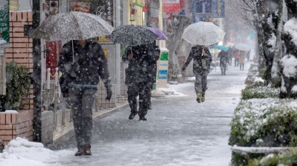 Cнегопад в Токио, Япония. Архивное фото