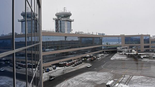 Здание Московского аэропорта Домодедово. Архивное фото