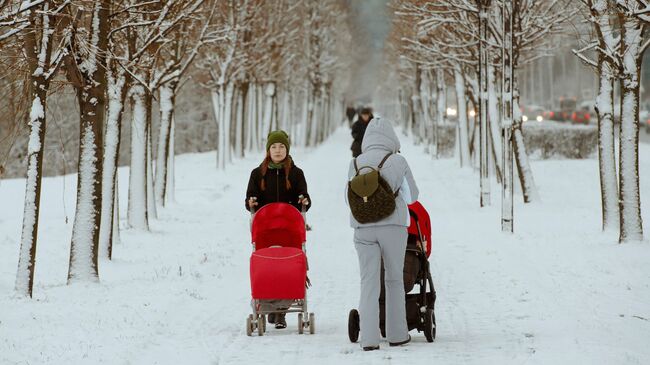 Женщины с колясками гуляют в Юнтоловском заказнике в Санкт-Петербурге