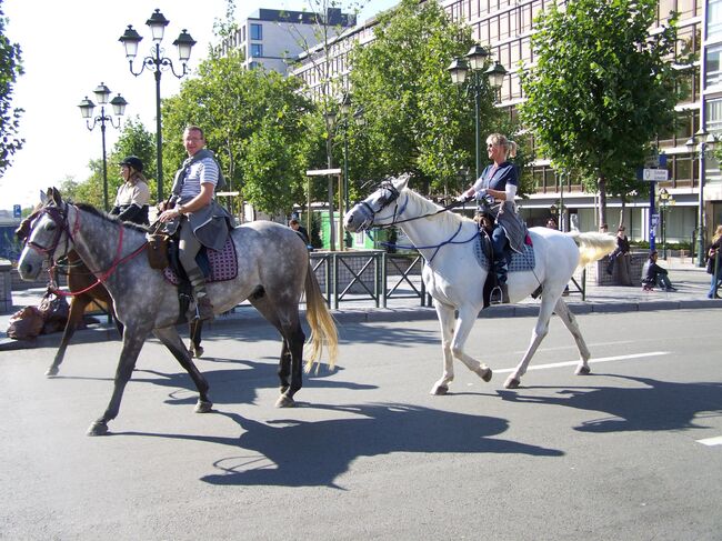 Бельгия. Архив