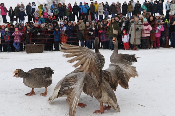 Участники праздничных гуляний в Суздале, посвященных проводам Широкой Масленицы, наблюдают за гусиными боями. 17 февраля 2018