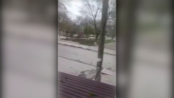 Звуки выстрелов и крики во время стрельбы в Кизляре сняли на видео очевидцы