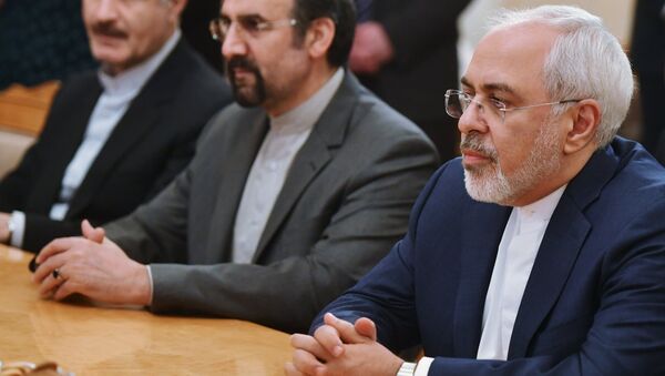 Министр иностранных дел Ирана Мухаммад Джавад Зариф на встрече с министром иностранных дел России Сергеем Лавровым. 19 февраля 2018