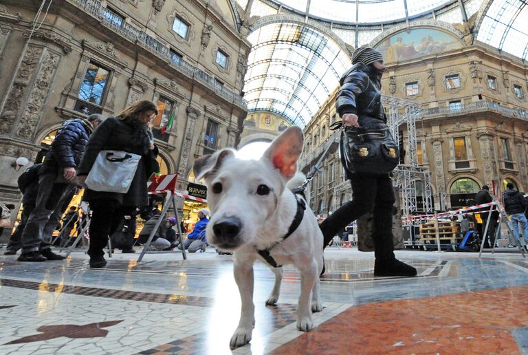 Города мира. Милан Города мира. Милан