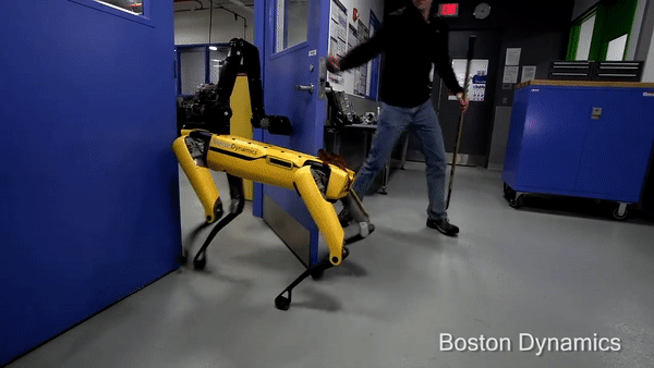 Борьба собаки-робота с человеком попала на видео