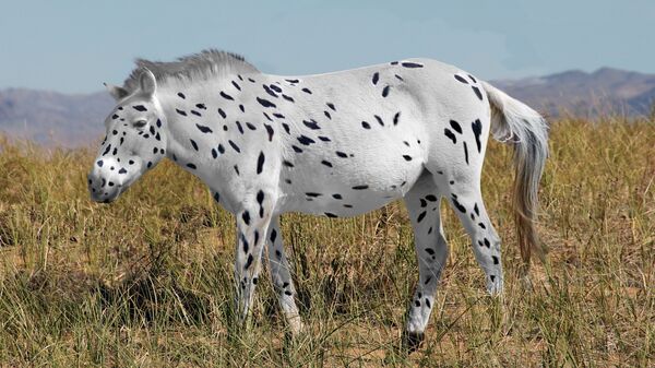 Древняя лошадь Пржевальского в представлении художника