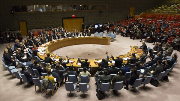 Члены Совета Безопасности голосуют во время заседания Совета Безопасности ООН по вопросу о прекращении огня в Сирии. 24 февраля 2018