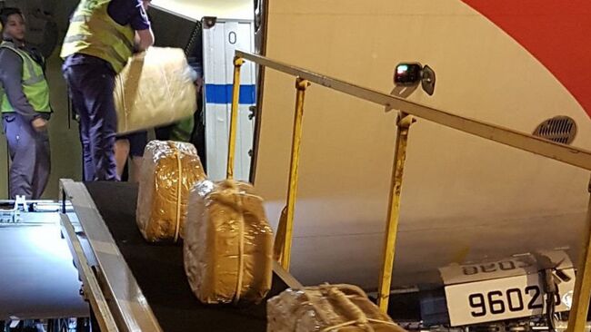 Совместная операция спецслужб России и Аргентины по пресечению поставки в Москву 389 килограммов кокаина. Архивное фото