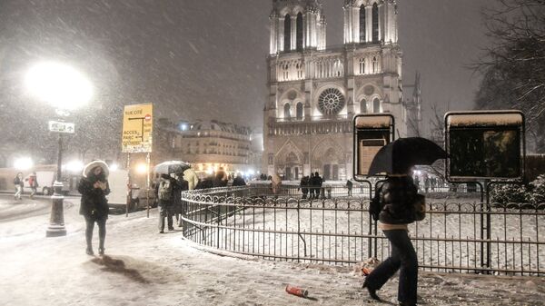 Прохожие возле Собора Парижской Богоматери (Notre-Dame de Paris) во время снегопада в Париже