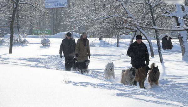 Горожане гуляют с собаками в сквере на Ленинском проспекте в Москве. Архивное фото