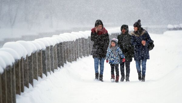Прохожие во время снегопада на Лужнецкой набережной в Москве