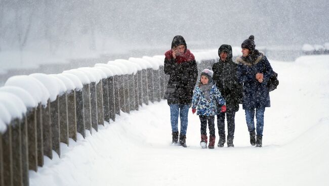 Прохожие во время снегопада на Лужнецкой набережной в Москве. архивное фото