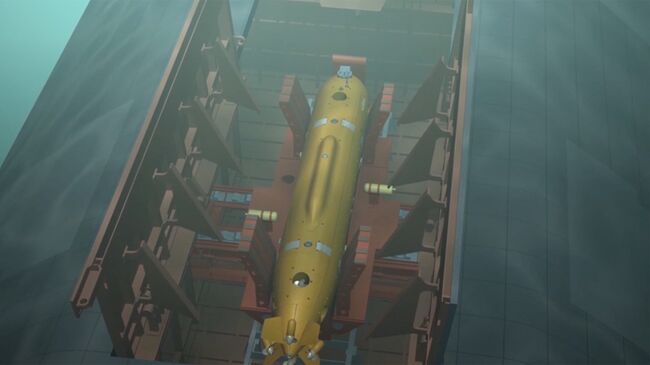 Демонстрация принципа действия океанской многоцелевой системы с беспилотными подводными аппаратами во время послания президента РФ Владимира Путина Федеральному собранию. Архивное фото