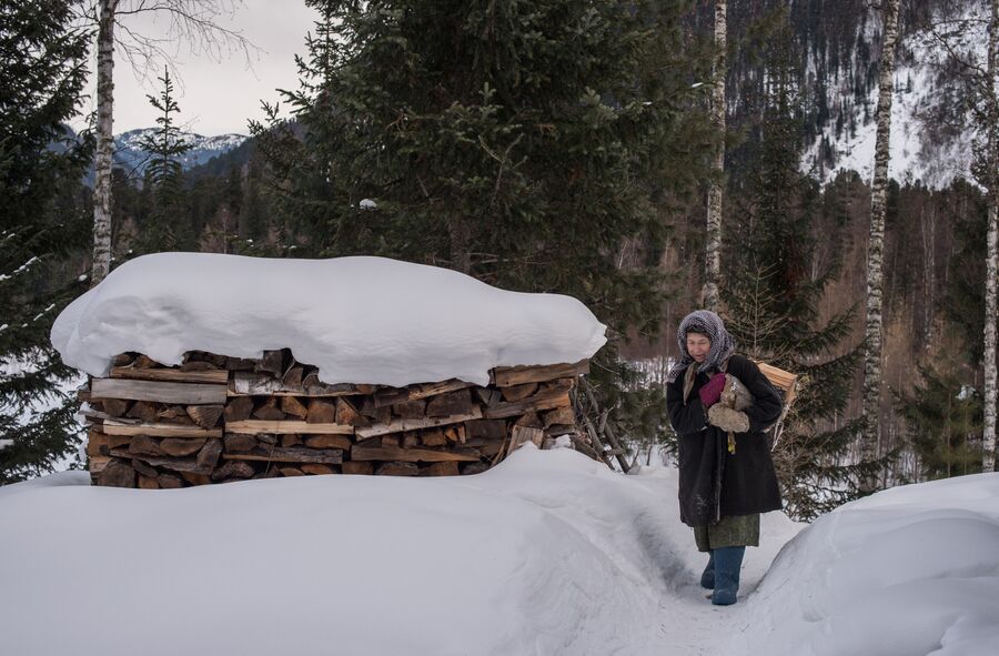 Агафья Лыкова идет с вязанкой дров по своей заимке