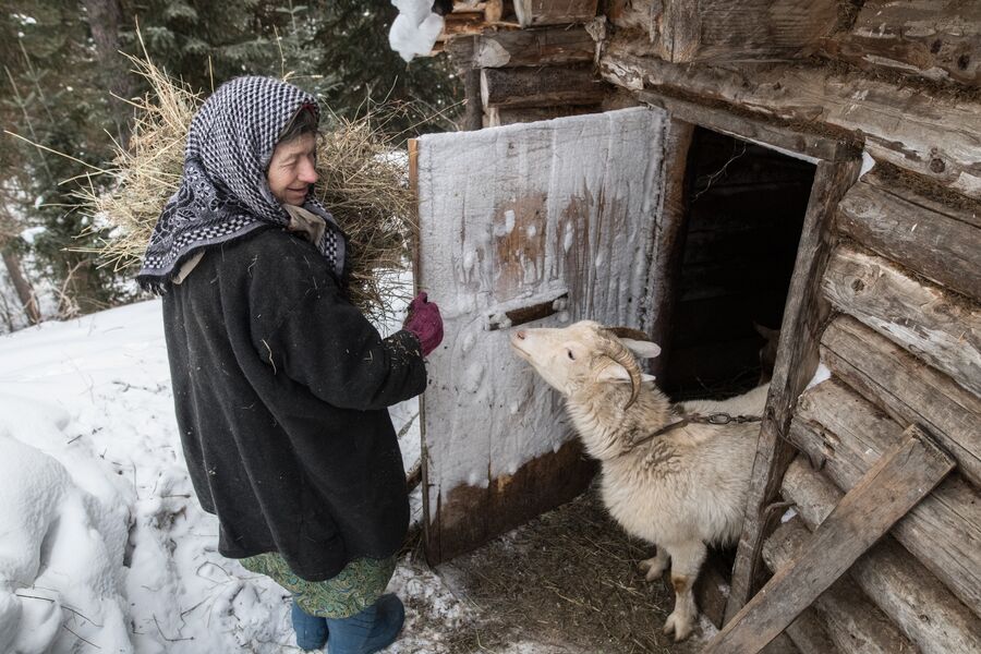 Агафья Карповна содержит коз более 30 лет