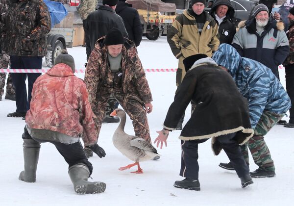 Люди ловят гуся на седьмом всероссийском турнире Гусиные бои в посёлке Дубна Тульской области