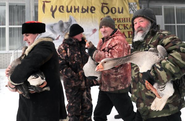 Люди несут гусей на седьмом всероссийском турнире Гусиные бои в посёлке Дубна Тульской области
