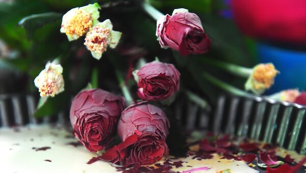 Замороженные розы во время акции Заморозим цветы, растопим сердца на станции Московского метро Ленинский проспект
