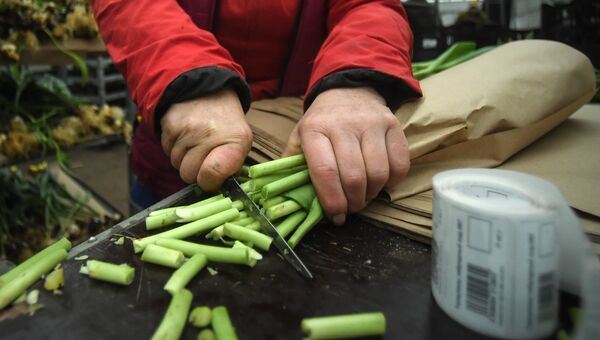 Сотрудник в теплице по выращиванию цветов на предприятии ГБУ Озеленение в Москве