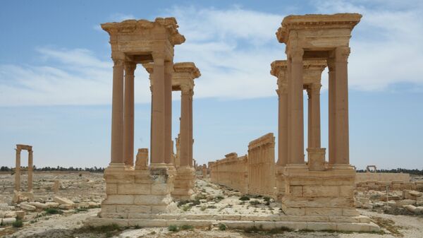  Пальмира
