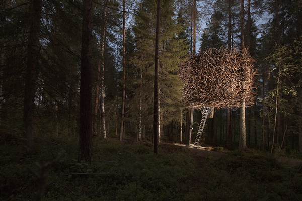 Treehotel, Harads, Швеция Treehotel, Harads, Швеция