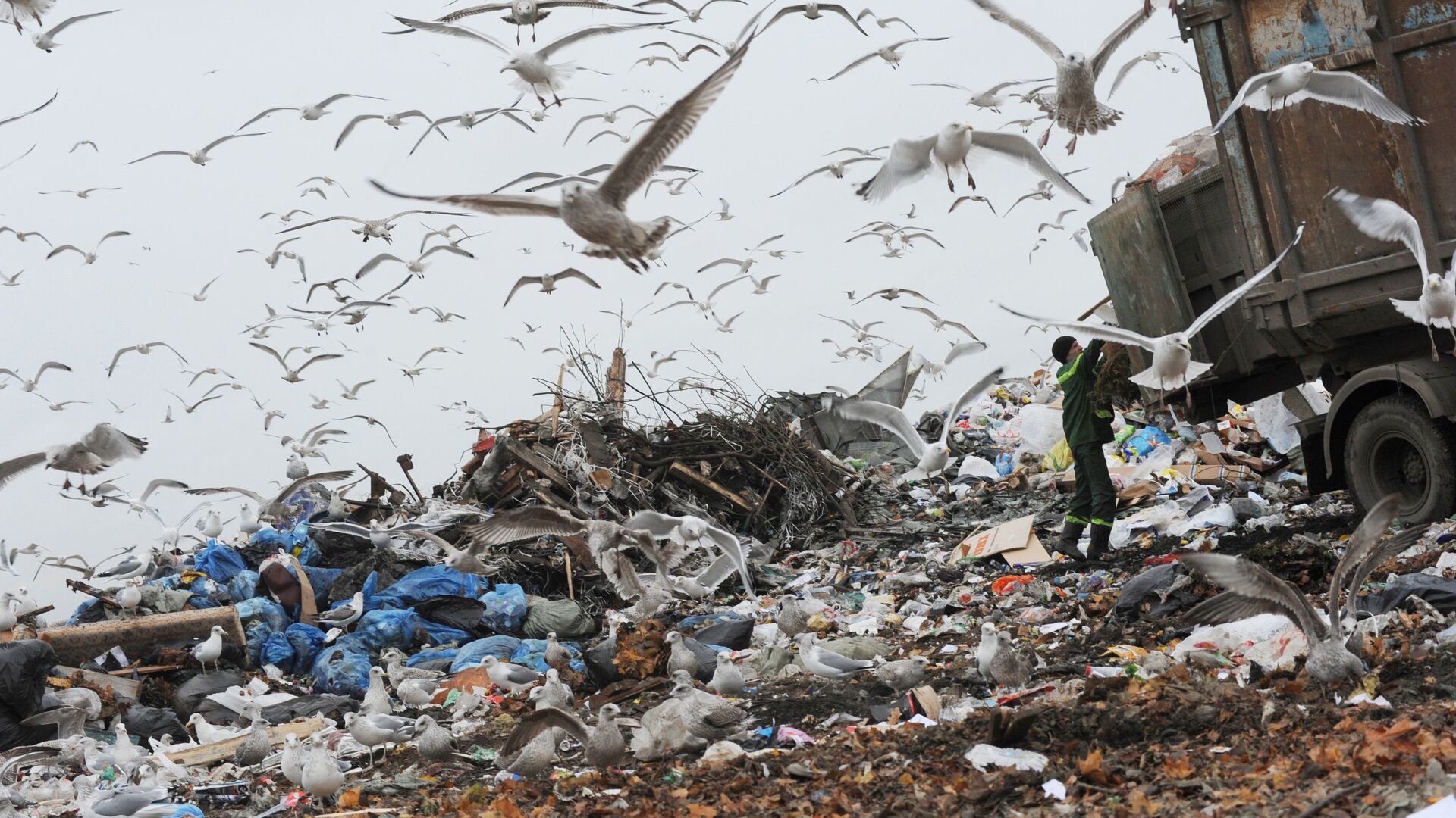 Выгрузка мусора на свалке бытовых отходов - РИА Новости, 1920, 21.01.2024