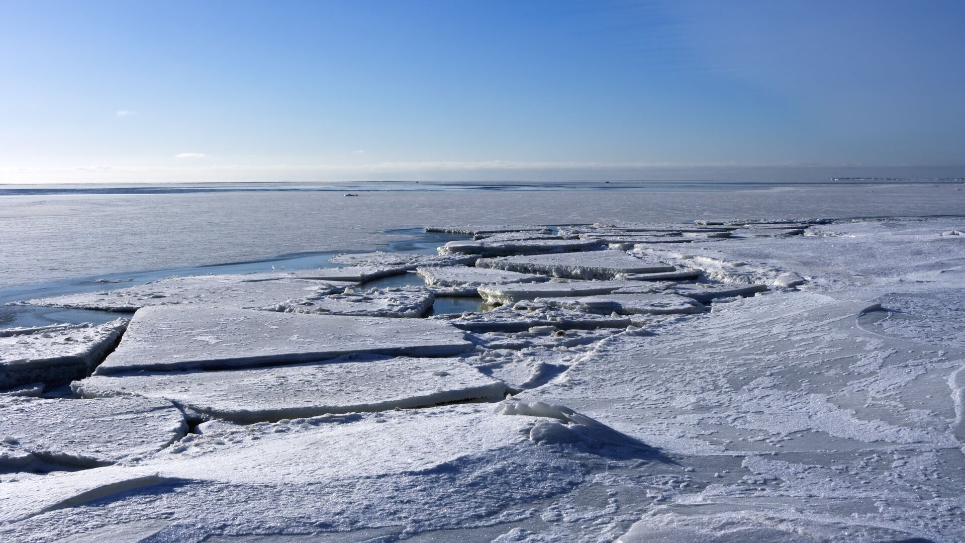 Лед на поверхности Финского залива - РИА Новости, 1920, 24.01.2023