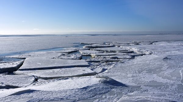 Лед на поверхности Финского залива