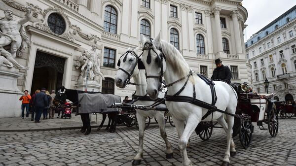 Конный экипаж на улице Вены