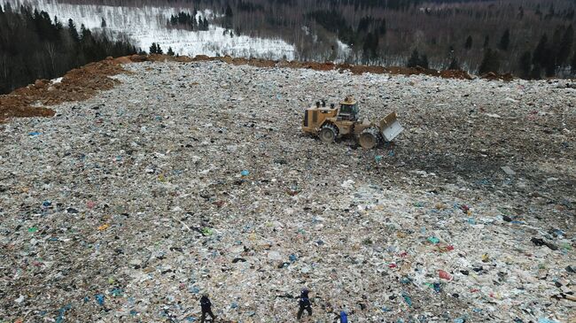 Полигон твердых бытовых отходов Ядрово в Московской области. Архивное фото