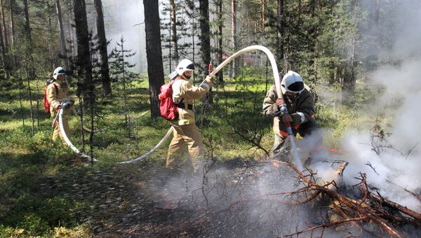 Сотрудники управления лесного хозяйства Минобороны России (Оборонлес) во время тушения пожара. Архивное фото