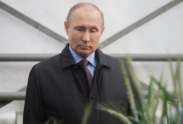 Президент РФ Владимир Путин во время посещения Национального центра зерна имени П. П. Лукьяненко в Краснодаре. 12 марта 2018 Президент РФ Владимир Путин во время посещения Национального центра зерна имени П. П. Лукьяненко в Краснодаре. 12 марта 2018