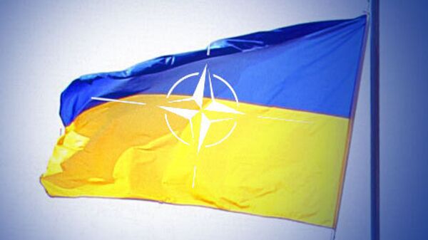 Втягивание Украины в НАТО равноценно самоубийству - депутат Рады