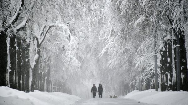 Заснеженная аллея на Воробьевых горах в Москве