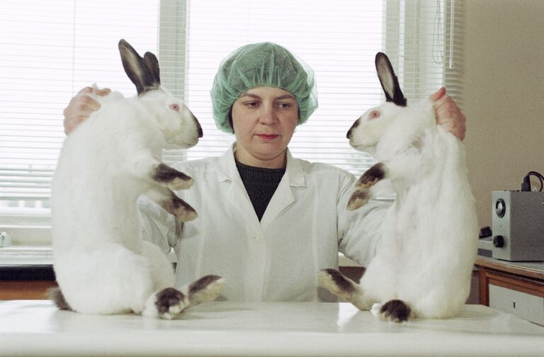 Кандидат биологических наук Марина Мезина держит клонированных кроликов Кандидат биологических наук Марина Мезина держит клонированных кроликов