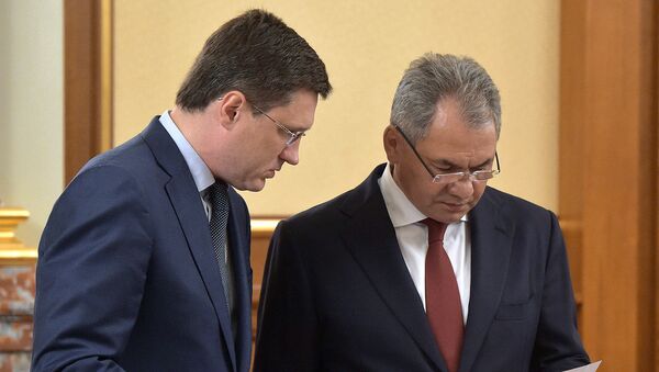 Министр энергетики РФ Александр Новак (слева) и министр обороны РФ Сергей Шойгу. Архивное фото