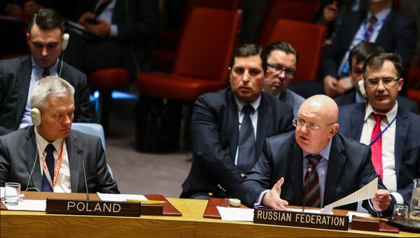 Постпред Российской Федерации при ООН Василий Небензя на заседании совбеза ООН