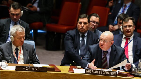 Постпред Российской Федерации при ООН Василий Небензя на заседании совбеза ООН. Архивное фото