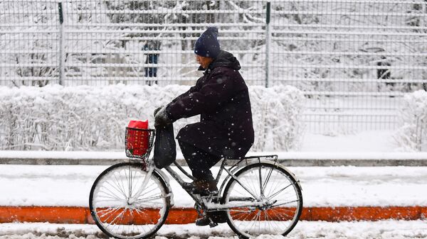Мужчина едет на велосипеде во время снегопада в городе Шэньян, Китай 