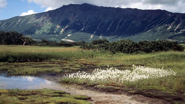 Природный парк Вулканы Камчатки набирает добровольцев на летний сезон