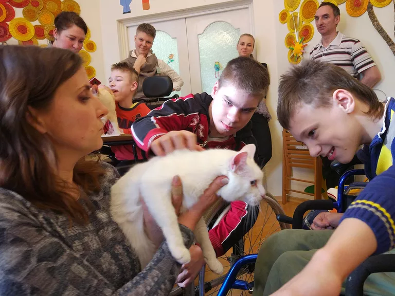По оценке главного ветеринарного врача эрмитажных котов Анны Кондратьевой, с первым выездным сеансом в качестве кота-терапевта Ахилл справился на пять с плюсом По оценке главного ветеринарного врача эрмитажных котов Анны Кондратьевой, с первым выездным сеансом в качестве кота-терапевта Ахилл справился на пять с плюсом