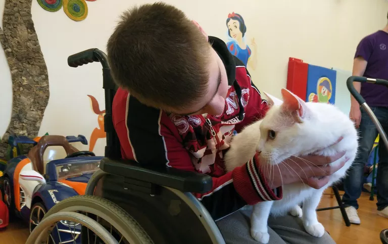 Впереди у самого известного эрмитажного кота насыщенный период: летом он выступит в роли предсказателя результатов матчей чемпионата мира по футболу Впереди у самого известного эрмитажного кота насыщенный период: летом он выступит в роли предсказателя результатов матчей чемпионата мира по футболу