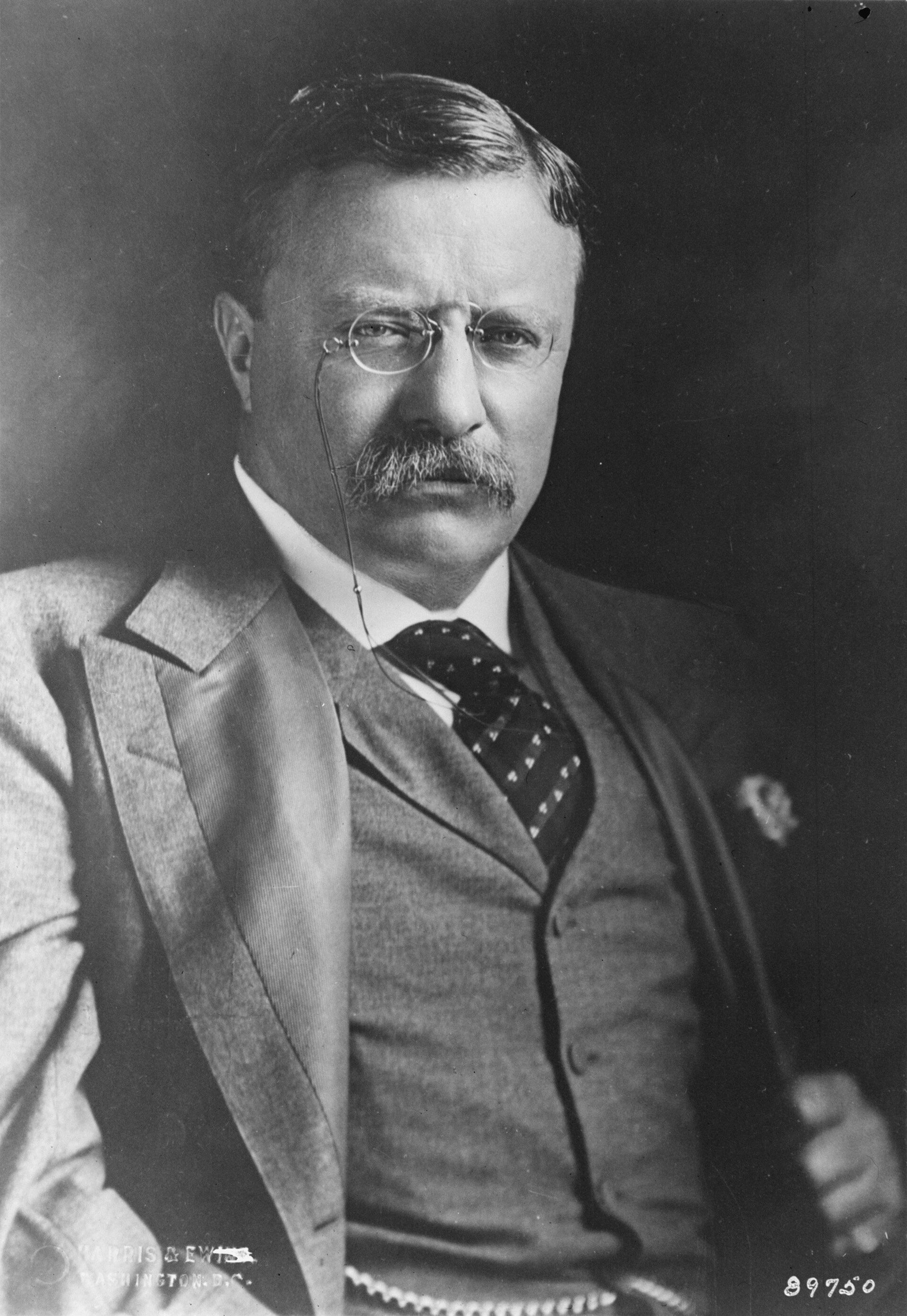 26-й президент США Теодор Рузвельт - РИА Новости, 1920, 21.12.2020