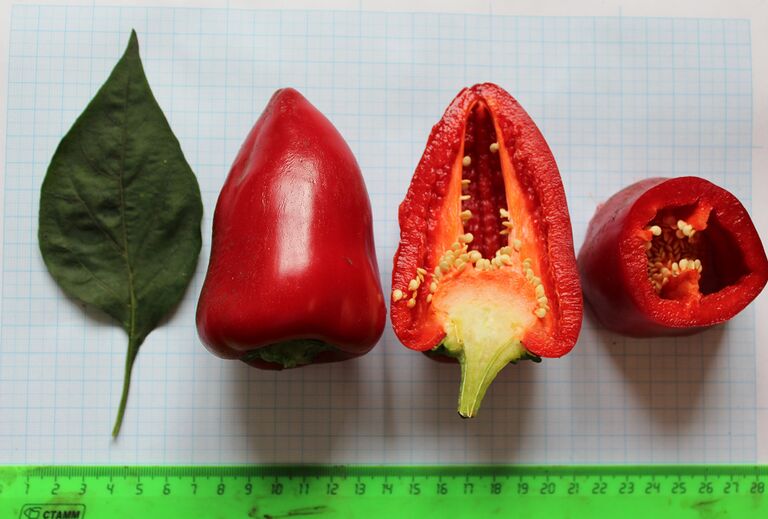 Перец Египетская сила