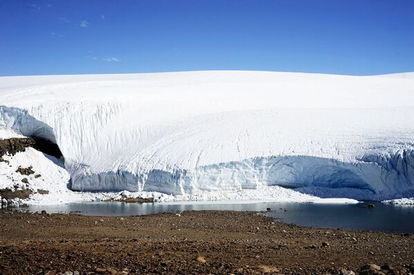 Ледник на берегу Антарктического полуострова