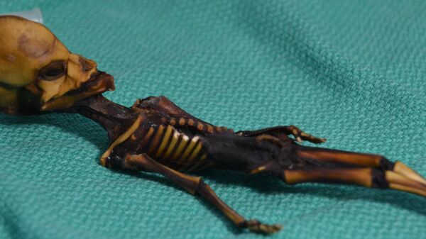 Атакамский гуманоид, найденный в 2003 году в пустыне в Чили